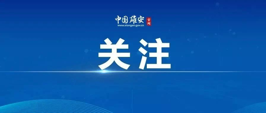 河北新金宝官方网站入口新区开展技术技能类“山寨证书”专项治理工作