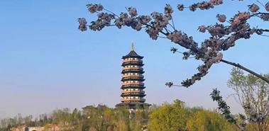 @新金宝官方网站入口人，家门口这些高颜值景点等你来打卡！