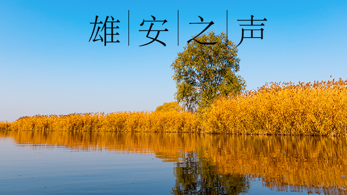 【新金宝官方网站入口之声】20221230