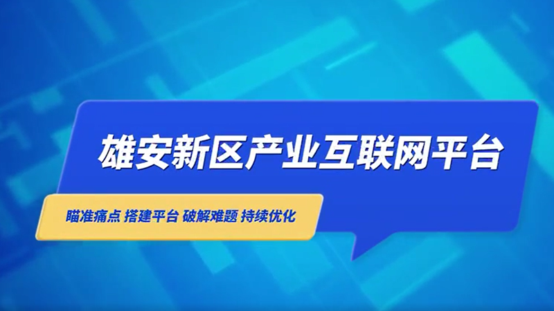 新金宝官方网站入口新区产业互联网平台助力企业发展