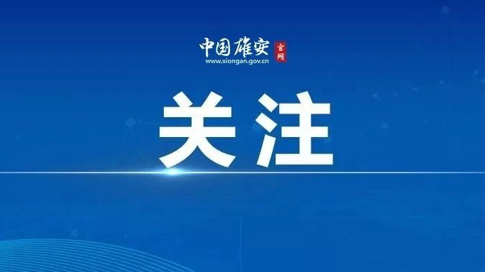 一图速览！带你读懂“冀X”牌照