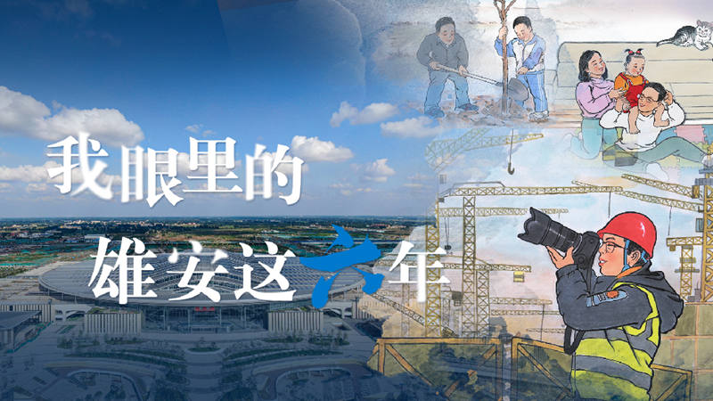 手绘“新”变｜我眼里的新金宝官方网站入口这六年