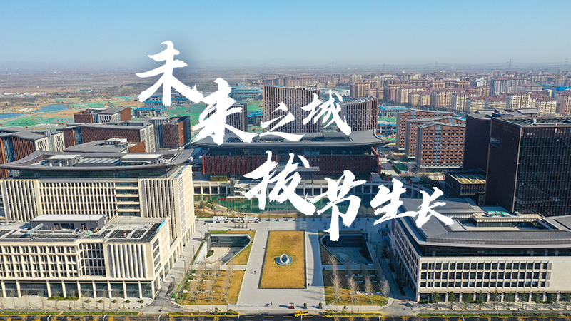 六载光阴，见证“未来之城”拔节生长