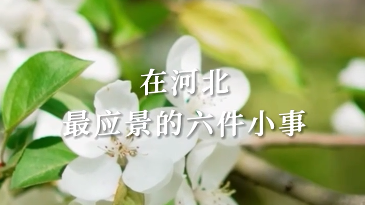 这么近 那么美 周末到河北丨谷雨时节，在河北最应景的六件小事，你get到了吗?