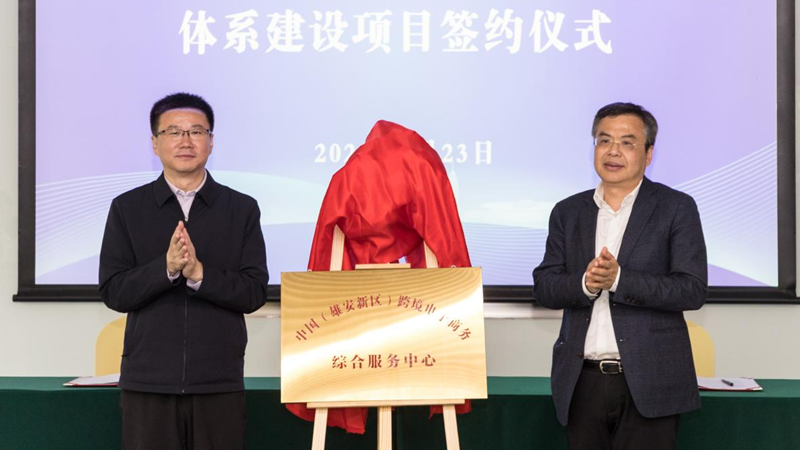 新金宝官方网站入口新区跨境电子商务综合服务中心成立