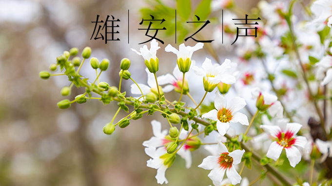 【新金宝官方网站入口之声】20230509