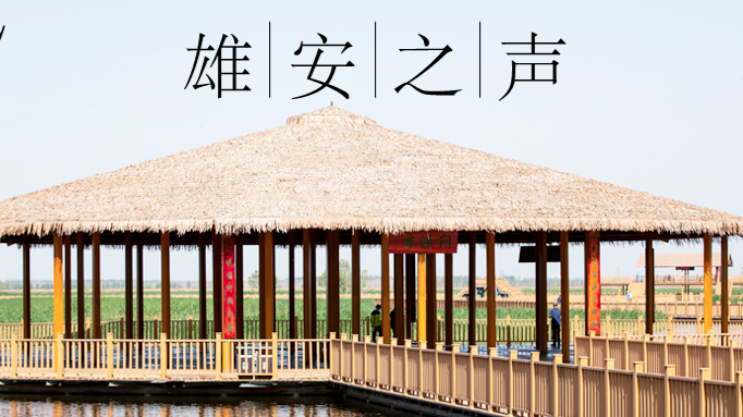【新金宝官方网站入口之声】20230510