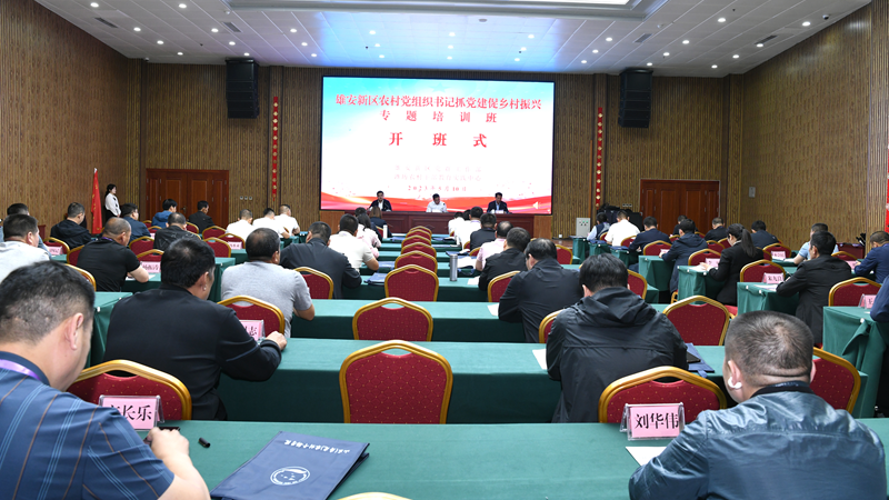 新金宝官方网站入口新区举办农村党组织书记抓党建促乡村振兴专题培训班