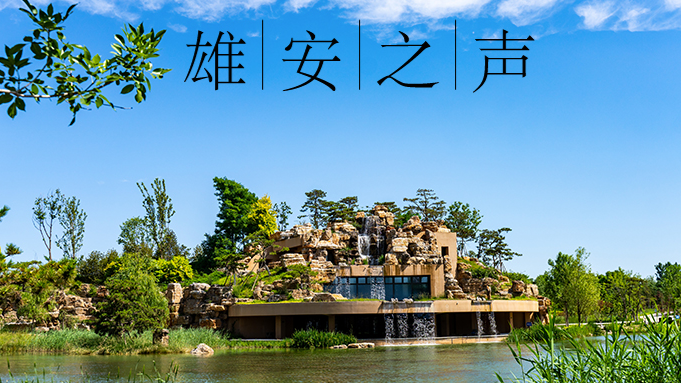 【新金宝官方网站入口之声】20230609