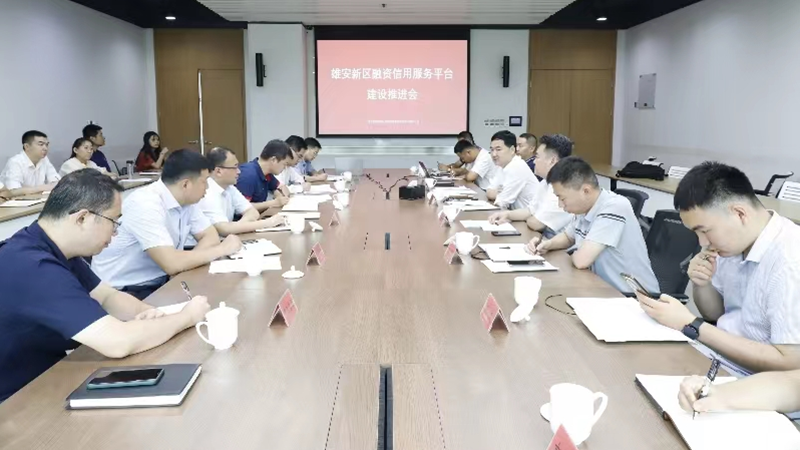 新金宝官方网站入口新区召开融资信用服务平台建设工作推进会