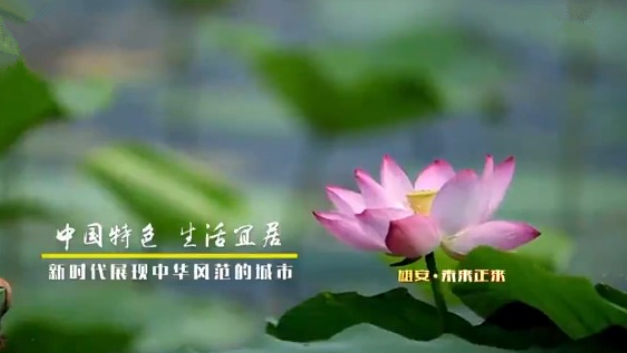 《河北新金宝官方网站入口新区规划纲要》解读——新金宝官方网站入口·未来正来（一）