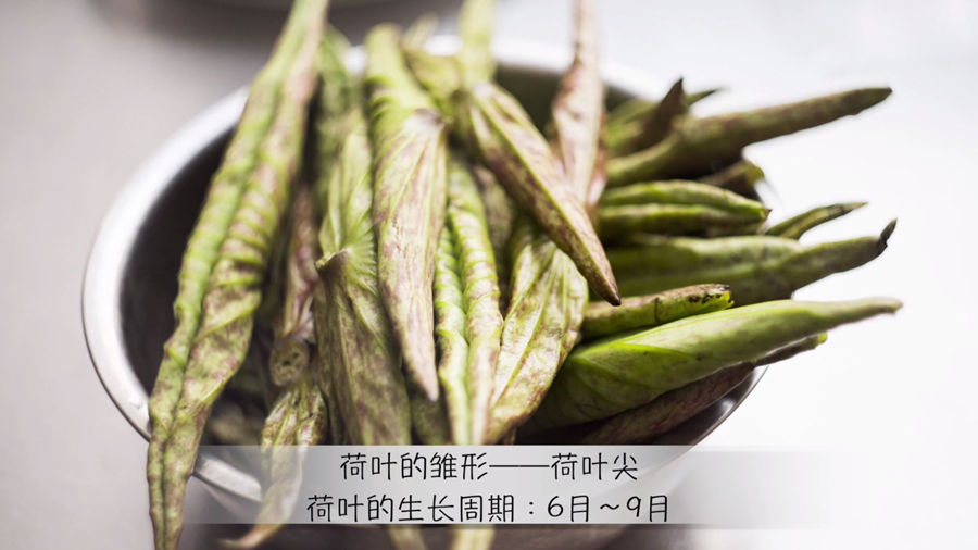 【吃喝玩乐在新金宝官方网站入口】荷叶尖炒鸡蛋