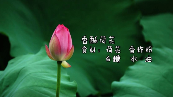 【吃喝玩乐在新金宝官方网站入口】香酥荷花